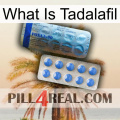 What Is Tadalafil 40